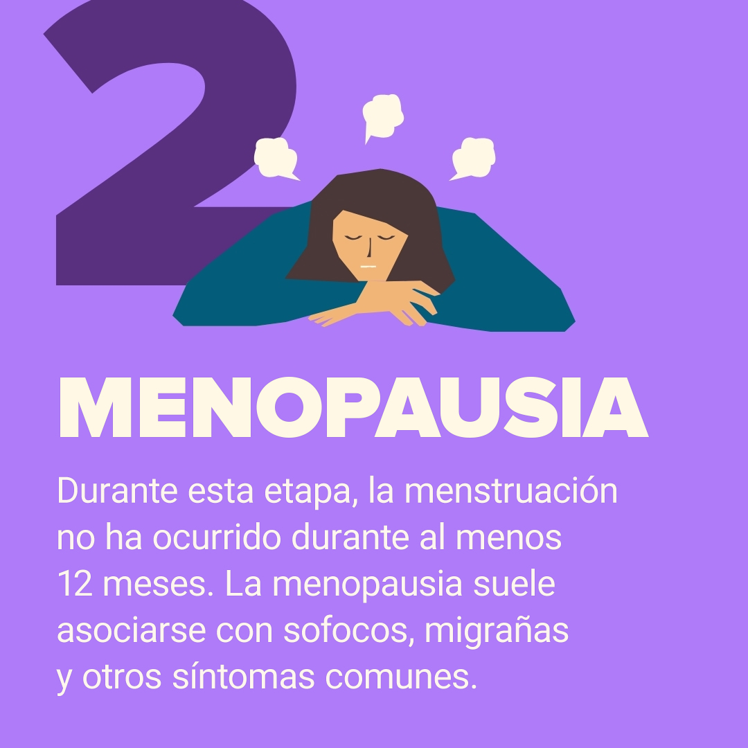 Gráfico de menopausia 2