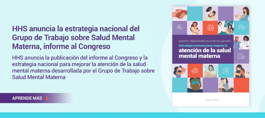 Grupo de Trabajo sobre Estrategia Nacional de Salud Mental Materna