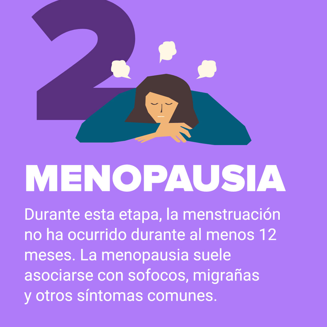 Gráfico de menopausia 2