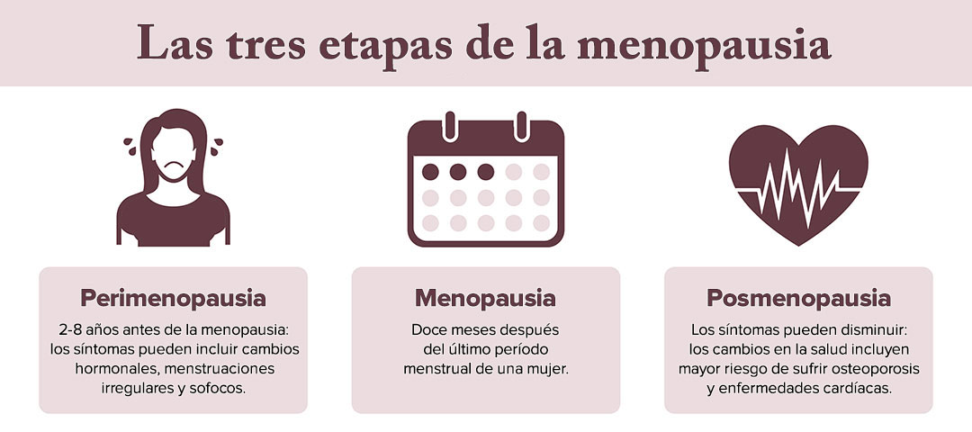 Las tres etapas de la menopausia