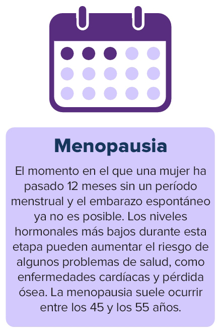Infografía con un icono de color púrpura oscuro de una página de calendario con los tres primeros días rellenados. Debajo del ícono hay un cuadro de color púrpura claro con el texto: Menopausia El momento en el que una mujer pasó 12 meses sin un período menstrual y el embarazo espontáneo ya no es posible. Los niveles hormonales más bajos durante esta etapa pueden aumentar el riesgo de algunos problemas de salud, como enfermedades cardíacas y pérdida ósea. La menopausia suele ocurrir entre los 45 y los 55 años.
